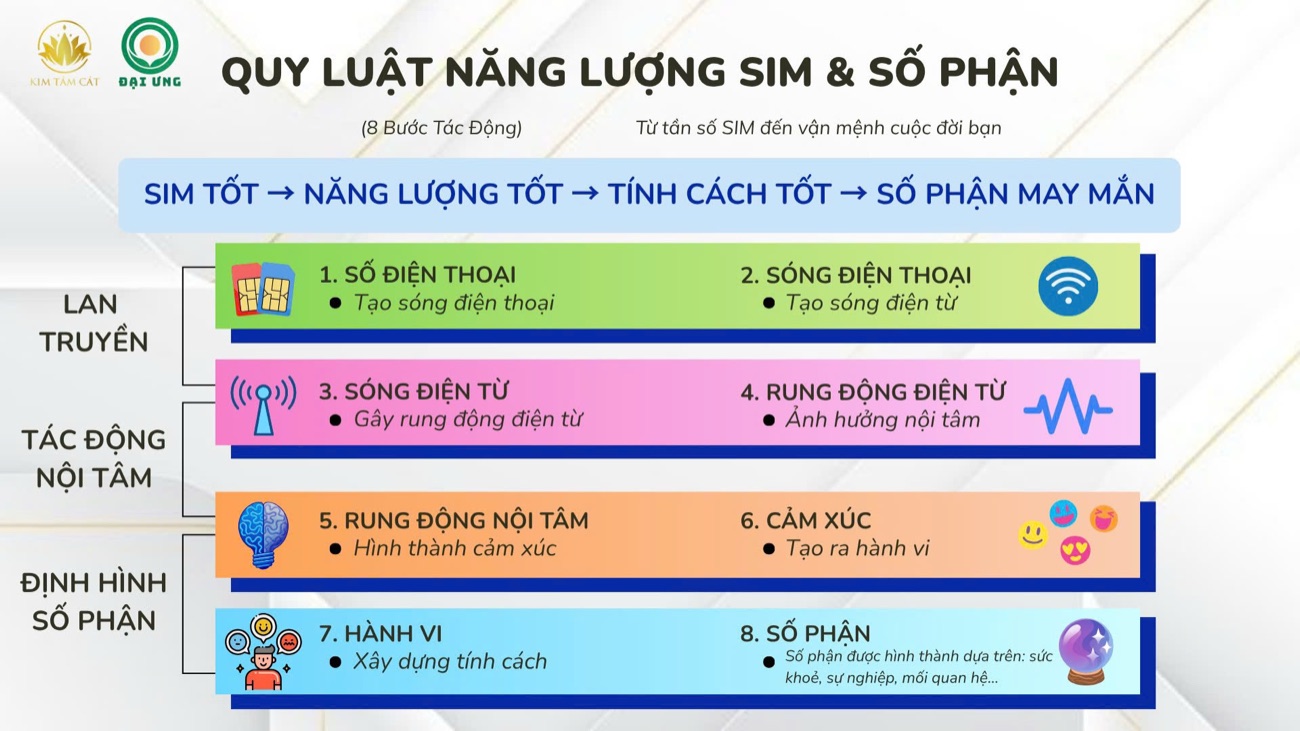 Sơ đồ quy luật chuyển hoá năng lượng từ số điện thoại đến cảm xúc, hành vi và số phận